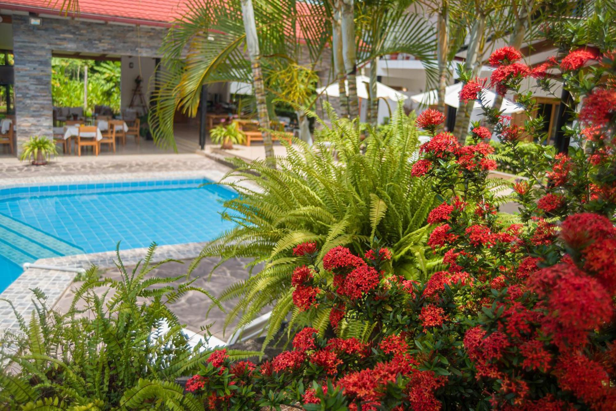Colina de Montalva Casa Hotel Tarapoto Exterior foto